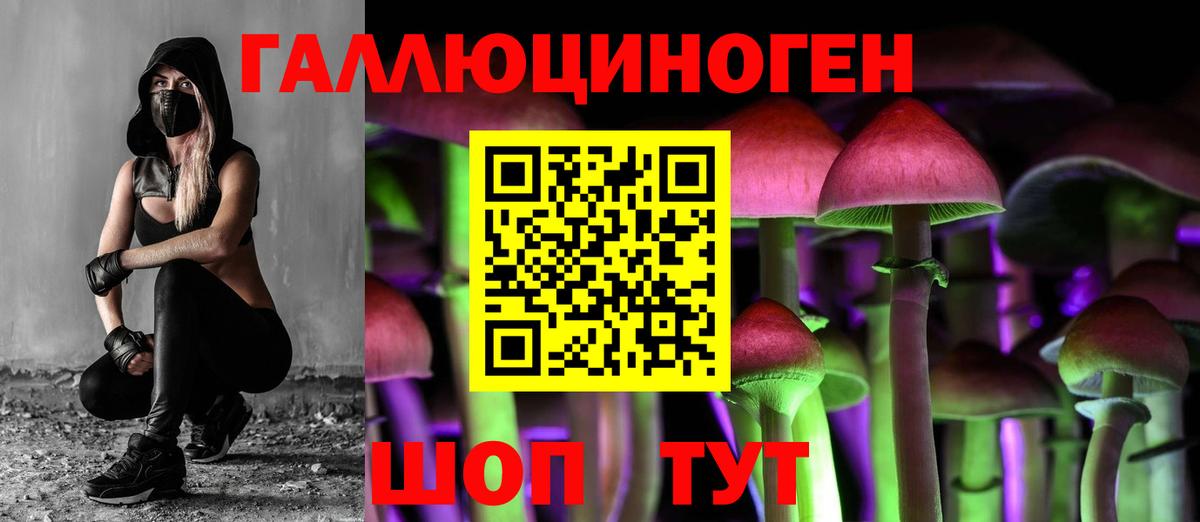 Псилоцибиновые грибы прущие грибы  наркота  Вход с VPN  Калуга  Галлюциногенные грибы Cubensis 